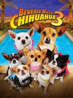 Những Chú Chó Chihuahua 3