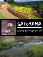 SATOYAMA: Khu Vườn Thủy Sinh Tuyệt Vời
