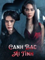 Canh Bạc Ái Tình