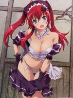 Hyakka Ryouran: Samurai Bride Specials