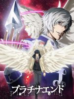 Platinum End