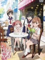 Toaru Kagaku no Railgun: Misaka-san wa Ima Chuumoku no Mato desu kara