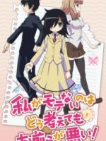 Watashi ga Motenai no wa Dou Kangaetemo Omaera ga Warui OVA