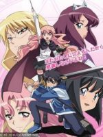 Zero no Tsukaima: Futatsuki no Kishi